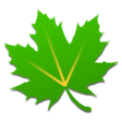 Icon of program: Greenify (Donation Packag…
