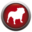 Icon of program: BullGuard Spamfilter