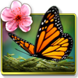 Icono de programa: Season Zen HD