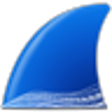 Icono de programa: Wireshark (32-bit) Develo…