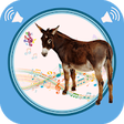 Icono de programa: Donkey Sounds