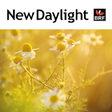 Icono de programa: New Daylight: Bible Notes