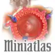 Icon of program: Miniatlas Sexuality