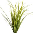 Icon of program: Montana Grasses