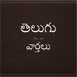 Icon of program: Touch Telugu News