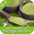 Icono de programa: Best Benefit Moringa Olei…