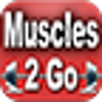 Icono de programa: Muscles2Go