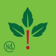 Icon of program: Rash Plants