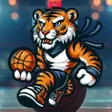 Icono de programa: Tigrinho Basket: Play App