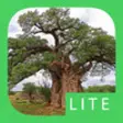 Icon of program: eTrees of Southern Africa…