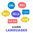 Icon of program: Speak & Learn Any Languag…