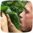 Icono de programa: Wilderness Survival Skill…