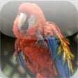 WallPaperIt Free icon