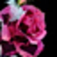 Icon of program: Mystery Trackers: Four Ac…