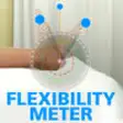 Icon of program: Flexibility Meter
