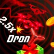 Icon of program: DronX