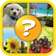 Icono de programa: 4 Pics 1 Word Puzzle Plus