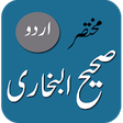 Icon of program: Sahih Bukhari - Urdu