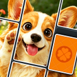 Icono de programa: Drop Solitaire - Card Puz…