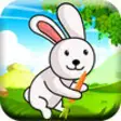 Icon of program: Hungry Baby Bunny Adventu…