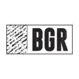 Icon of program: BGR - The Burger Joint