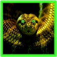 Icono de programa: Anaconda Puzzle