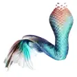 Icon of program: Mermaid's tail