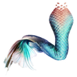 Icon of program: Mermaid's tail