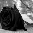 Icon of program: Mourning Images