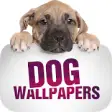 Icon of program: Wallpapers with dogs