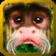 Icon of program: Funky Monkey Faces-Fun An…
