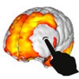 Icon of program: iBraiN2