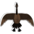 Icono de programa: Goose Jihad