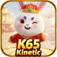Icon of program: K65 Kinetic