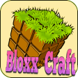 Icon of program: Bloxx Craft Girl