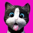 Icon of program: Daily Kitten : virtual ca…