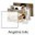 Icon of program: Angelina Jolie Windows 7 …