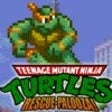 Icon of program: Teenage Mutant Ninja Turt…