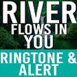 Icon of program: River Flows in You Ringto…