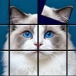 Jigsolitaire: Anti Stress icon