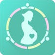 Icon of program: My Pregnancy Ticker