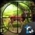 Icono de programa: Wild Animals Jungle Hunti…