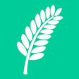 Icon of program: Vanuatu Languages