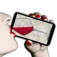Icon of program: Wine - Drink (Prank)