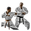 Icon of program: Karate
