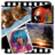 Icon of program: Gallery Live Wallpaper