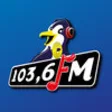 Icon of program: Pinguin FM