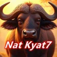 Icon of program: Nat Kyat7