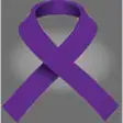 Icon of program: Domestic Violence Informa…