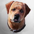 Icon of program: Dex: Your AR Dog Companio…